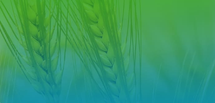 Bayer Crop Science featured image